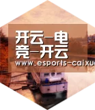 开云电竞官网中德合璧 实力可鉴
