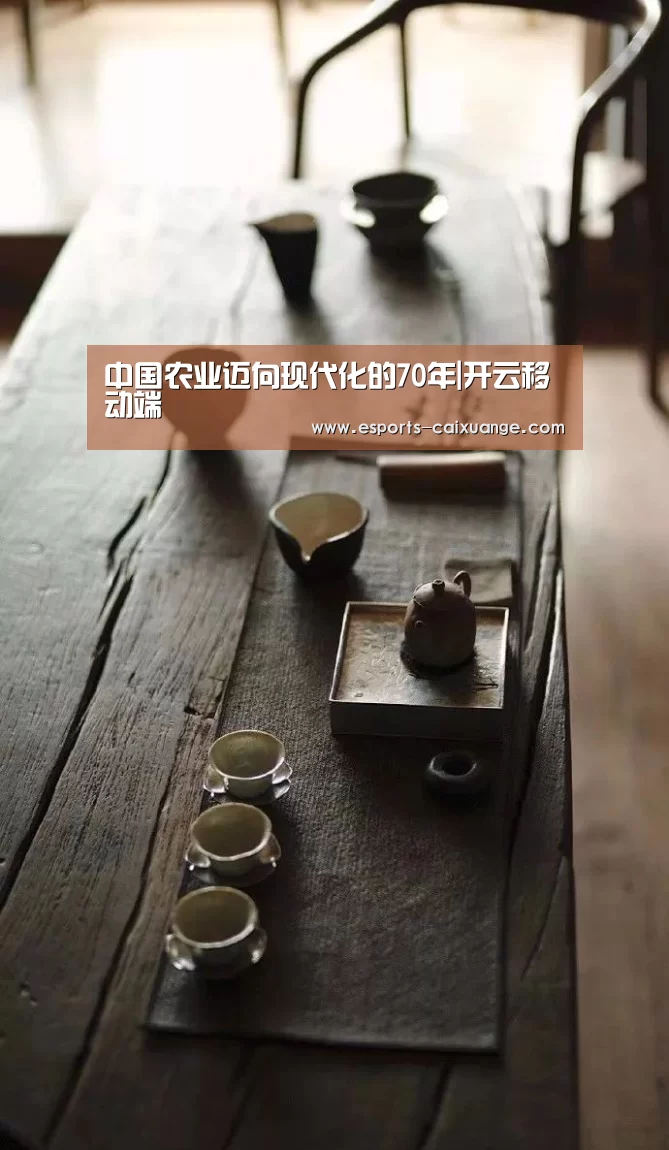 开云全站下载
