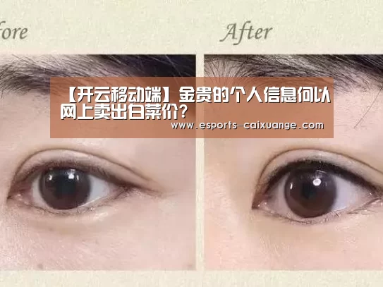 【开云移动端】金贵的个人信息何以网上卖出白菜价?