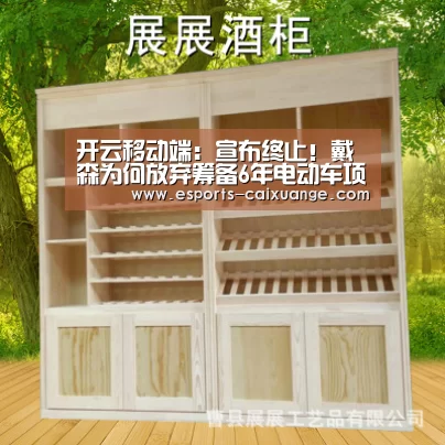 开云电竞官网