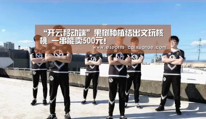 “开云移动端”果树种植结出文玩核桃 一串能卖500元！