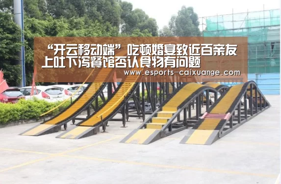开云体育下载