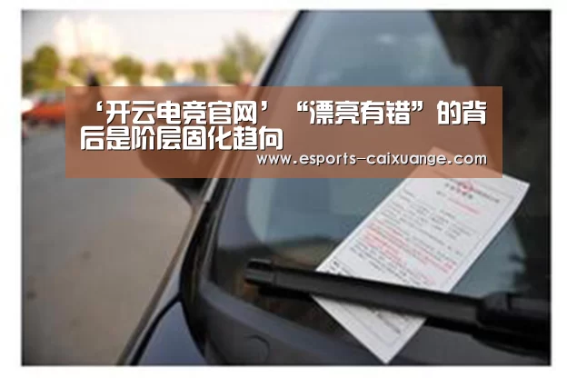开云电竞官网
