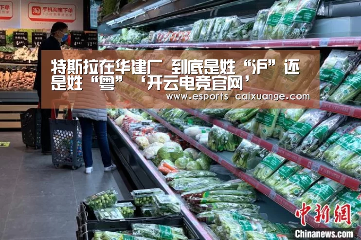 开云移动端