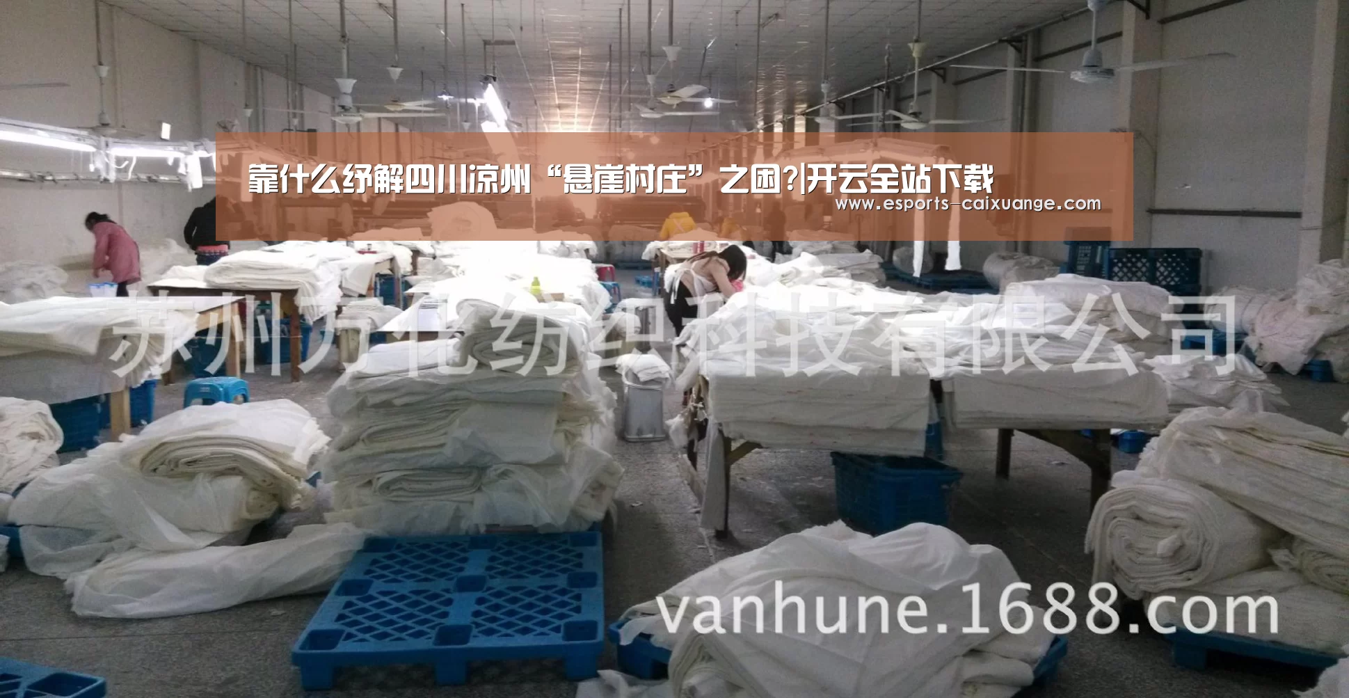 开云体育下载