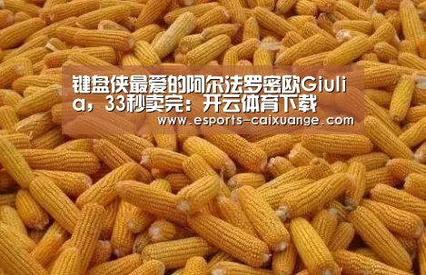 开云全站下载