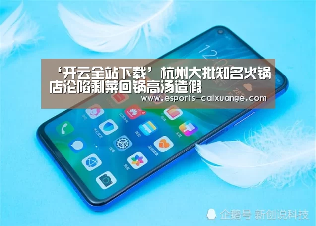 开云全站下载