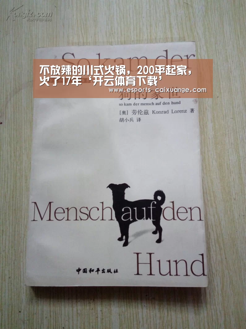 开云体育下载