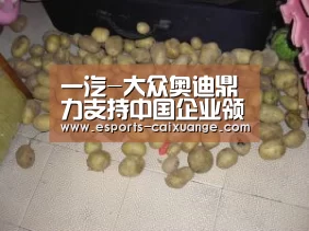 一汽-大众奥迪鼎力支持中国企业领袖年会_开云全站下载