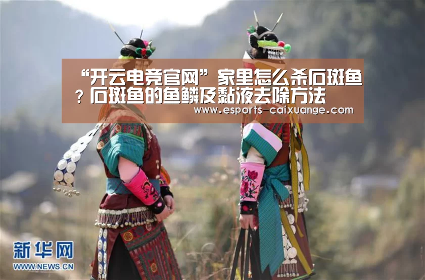 开云移动端