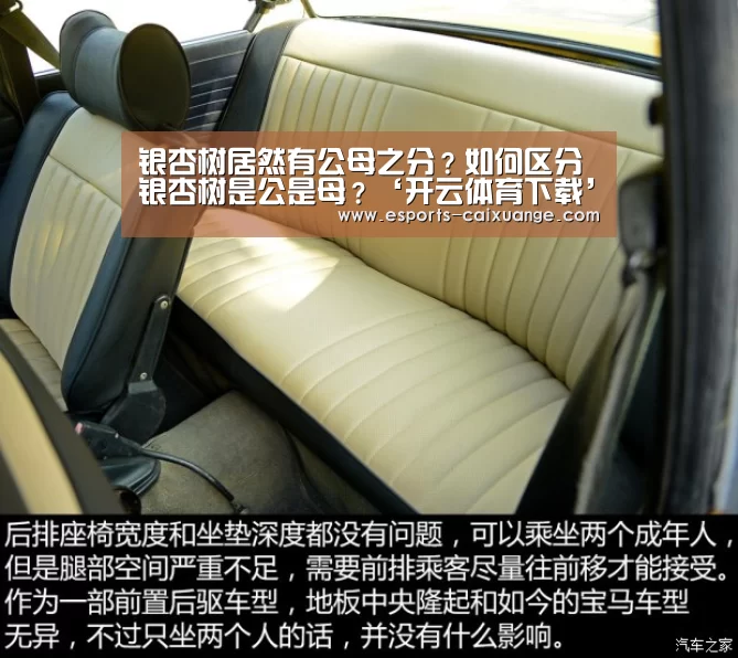 开云移动端