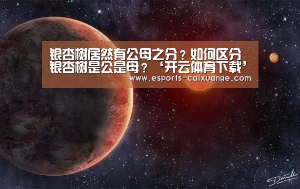 开云移动端