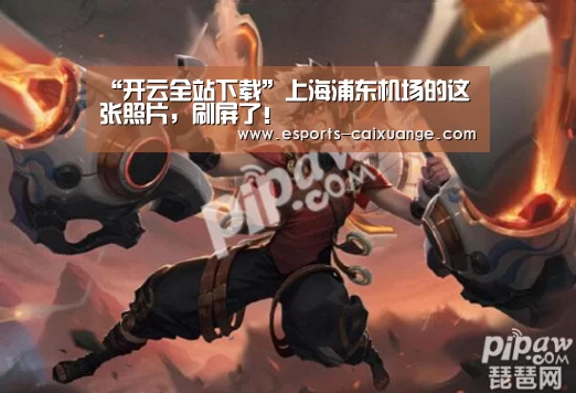 “开云全站下载”上海浦东机场的这张照片,刷屏了!(图1) 开云电竞官网