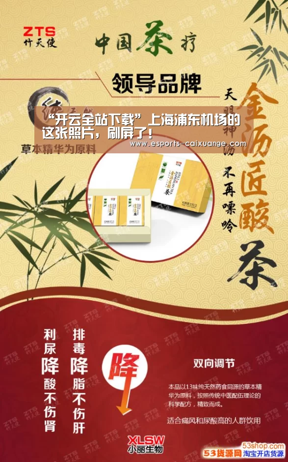 “开云全站下载”上海浦东机场的这张照片,刷屏了!(图3) 开云移动端